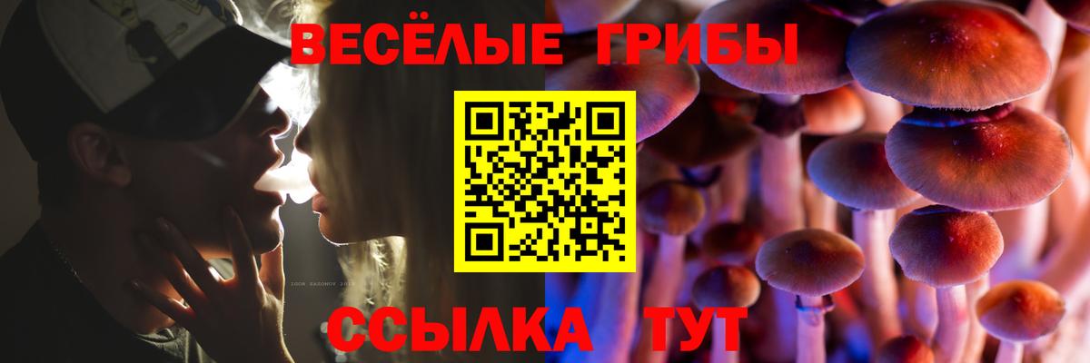 Галлюциногенные грибы мухоморы  цена наркотик  Пыть-Ях  Вход с VPN 